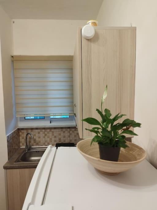 Esteticaapartments Rhodes City Esterno foto